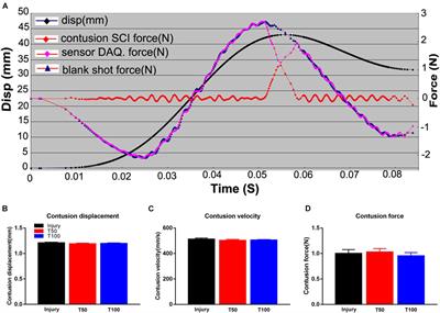 Trihydroxyethyl Rutin Provides Neuroprotection in Rats With Cervical Spinal Cord Hemi-Contusion